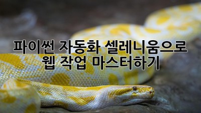 파이썬 자동화: 셀레니움으로 웹 작업 마스터하기
