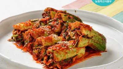 전라남도 손맛! 아삭한 오이소박이 2kg 득템 후기 ✨